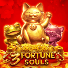 Populaire gokkast 12